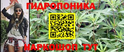 молекула духа Анжеро-Судженск