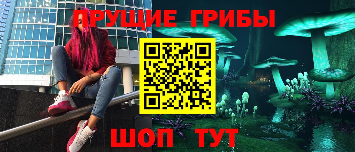 хочу наркоту  Псилоцибиновые грибы прущие грибы  Псилоцибиновые грибы Psilocybine cubensis  Вход с VPN  Ртищево 